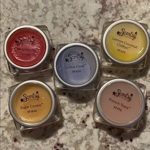 Scentsy Wickless